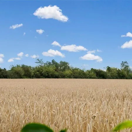 Feriehus 30121-ulfborg-klovervej-474 Sønder Nissum